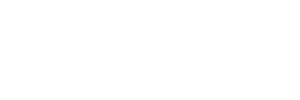 Expert